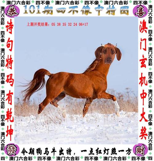 2025澳门天天开好彩大全开奖记录和英国国王首访加拿大与英国国王首访加拿大是哪一年