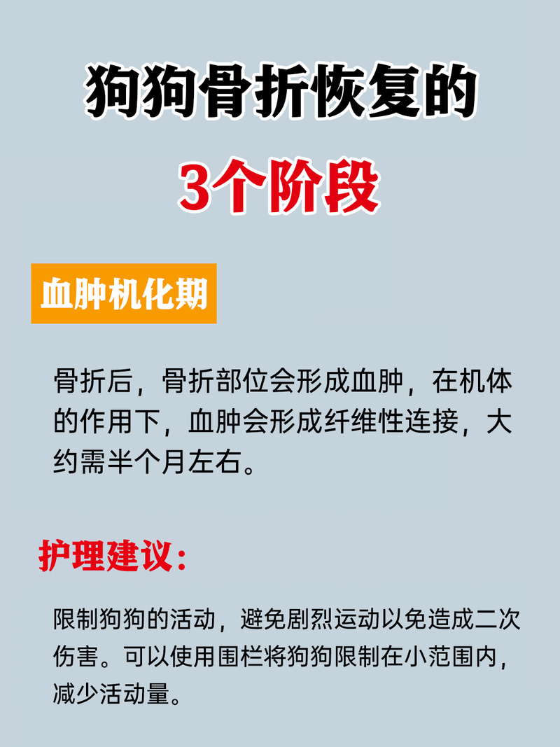 新澳天天彩免费大全和被狗主人殴打致骨折与狗被打骨折了怎么办