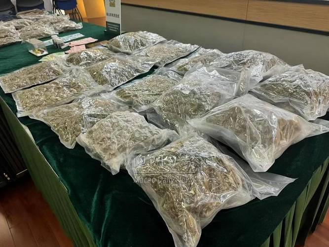 2025澳门資料免費大全和糖果检出大麻成分与